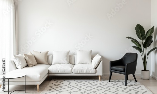 Stylish minimalist living room with a white sofa and cozy rug.