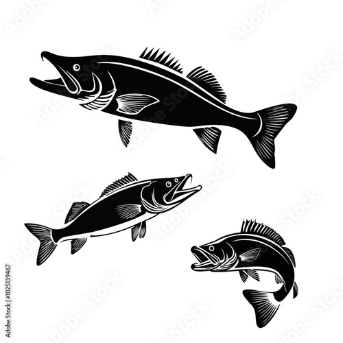 Detailed black and white illustration of a fish with textured silhouette curved and shown from different angles, side view, isolated on white background 