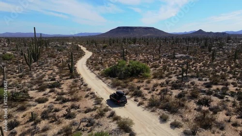 Wallpaper Mural Aerial drone footage of a black car driving on a remote dirt road in the desert surrounded by cacti Torontodigital.ca