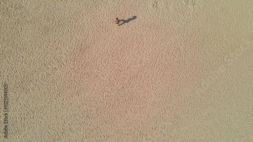 Wallpaper Mural Topdown aerial drone footage of a woman walking a white sand beach in front of crashing waves on a clear summer day Torontodigital.ca
