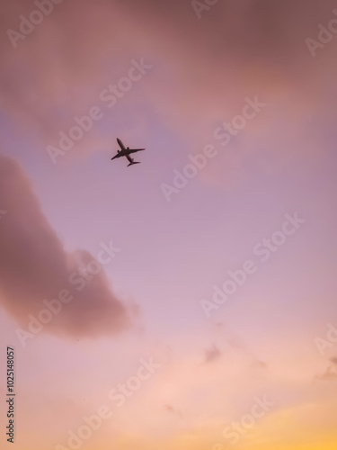 airplane in the sky