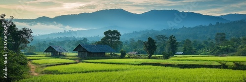 A peaceful countryside scene with a few small houses and a long field of green grass. The sky is cloudy and the sun is setting, creating a serene atmosphere