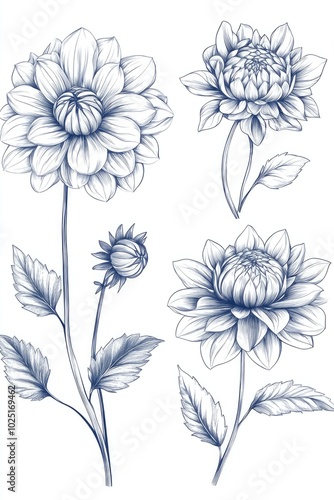 Wallpaper Mural Fresh bouquet of colorful flowers against a clean white background Torontodigital.ca