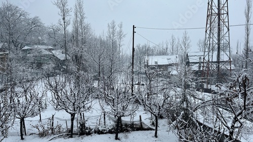 kashmir snow Winter Wonderland photo