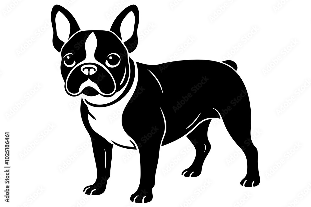 english bulldog puppy english bulldog puppy