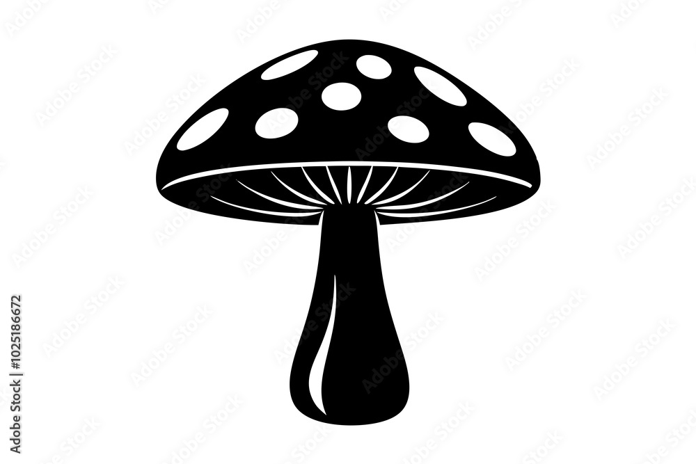 mushroom isolated on black mushroom isolated on black