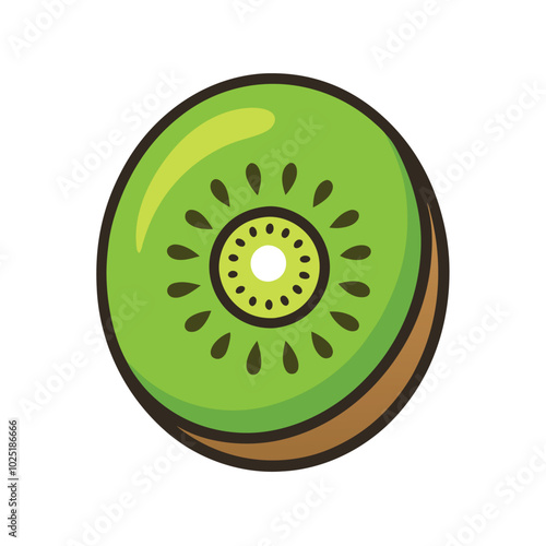 kiwi fruit Vector Illustration isolated on white background