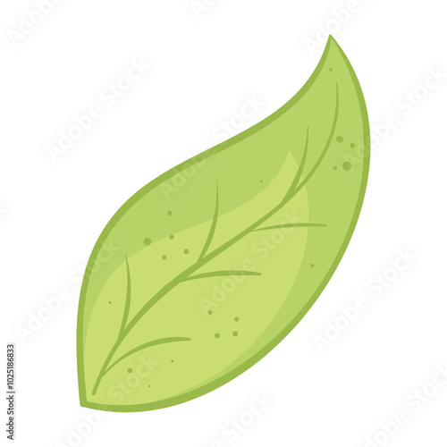 Green leaf with subtle texture on white background, vector illustration