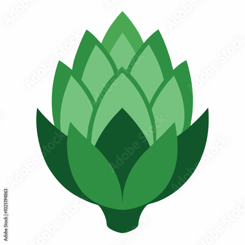 Artichoke Cynara scolymus vector design on a white background 