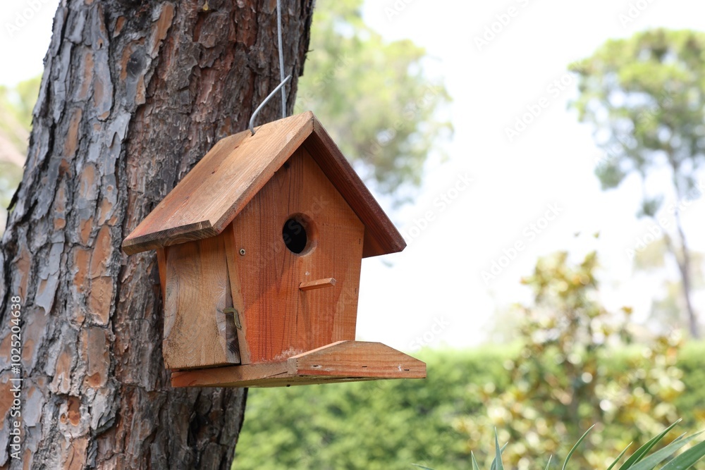 Beautiful wooden birdhouse hanging on tree trunk in park Beautiful wooden birdhouse hanging on tree trunk in park