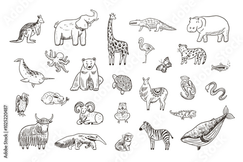 Vector set of hand drawn doodle line cartoon animals. 