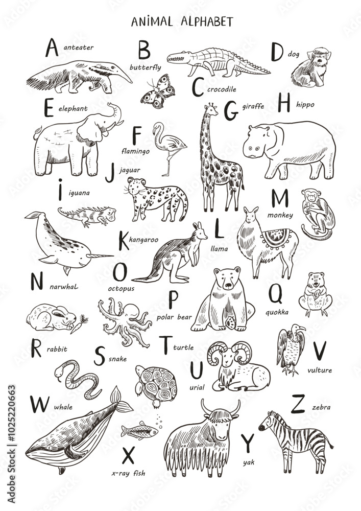 Animals alphabet set. Hand drawn vector line illustration. Isolated on white background. Animals alphabet set. Hand drawn vector line illustration. Isolated on white background.