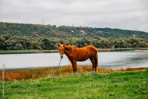 Solonceni village in the Rezina district of the Republic of Moldova photo