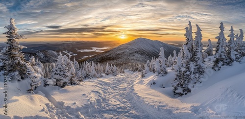 Winter landscape panorama in snowy mountains glowing with light at sunset. Dramatic wintry scene with frozen trees at sunset.