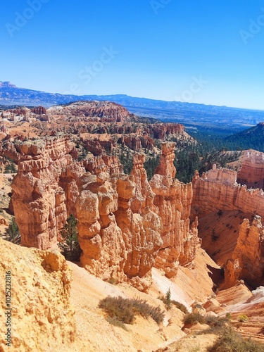 bryce canyon panorama at noon, from the high pathway
