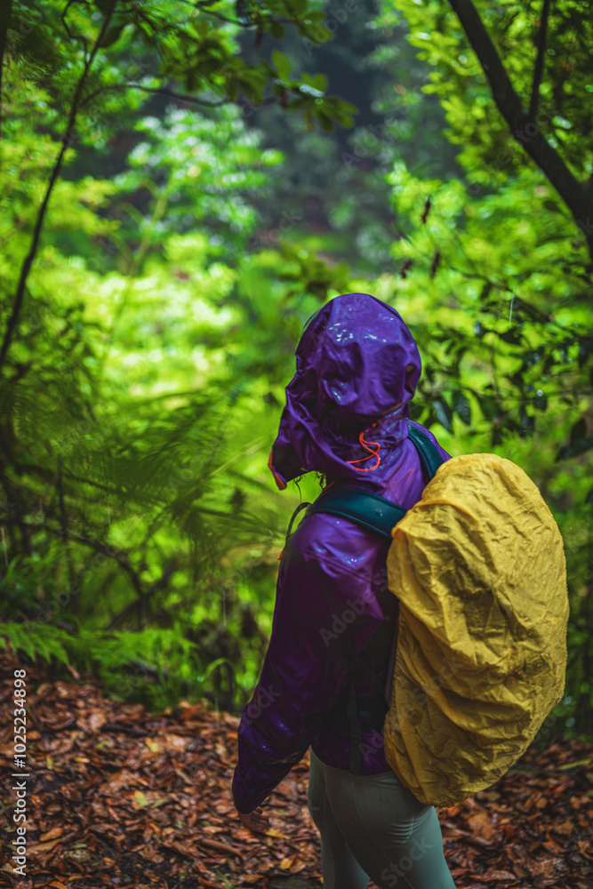Female tourist in hard shell rain jacket looks into a misty jungle from a trail on a rainy day. Poco dos Pulgas Waterfalls, Madeira Island, Portugal, Europe. Female tourist in hard shell rain jacket looks into a misty jungle from a trail on a rainy day. Poco dos Pulgas Waterfalls, Madeira Island, Portugal, Europe.