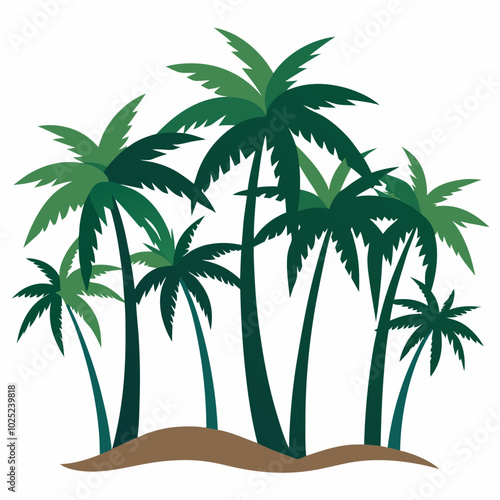 palm tree on white background