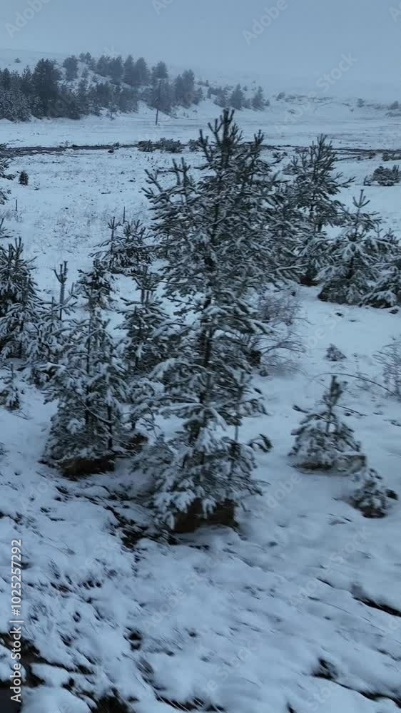 Snow-Covered Mountains, Frozen Lakes, and Forests Snow-Covered Mountains, Frozen Lakes, and Forests