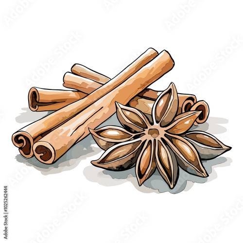Watercolor Illustration of Cinnamon and Star Anise Set