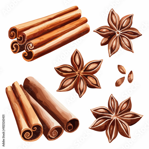 Watercolor Illustration of Cinnamon and Star Anise Set