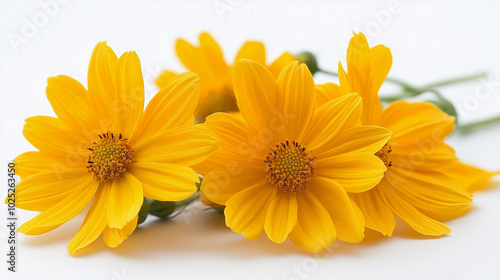 A bouquet of yellow flowers with a white background