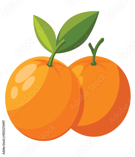 Tangerine fruit Vector Illustration isolated on white background