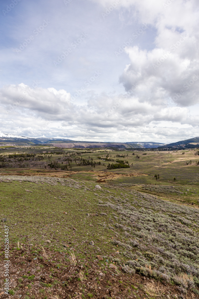 Expansive Landscape in Yellowstone National Park, Wyoming With Cloudy Skies and Vast Grasslands Expansive Landscape in Yellowstone National Park, Wyoming With Cloudy Skies and Vast Grasslands