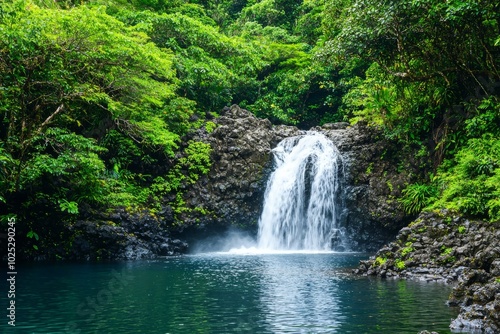 Streams of water flow through lush green forests