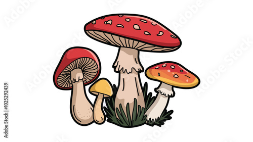 Set of colorful Mushroom Collection Boletus, Chanterelles, Fly Agarics clipart with white background, vector illustration 