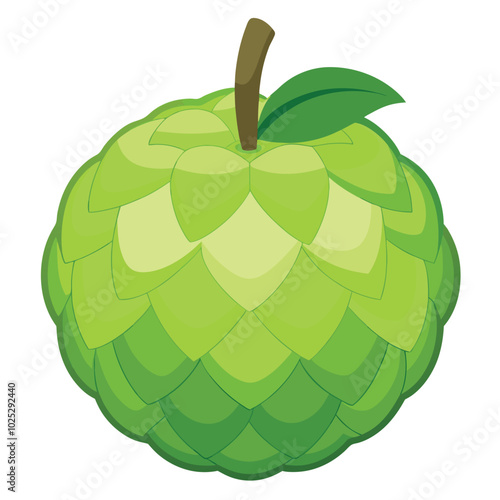 Custard apple. Custard apple hand-drawn illustration. Vector doodle style cartoon illustration