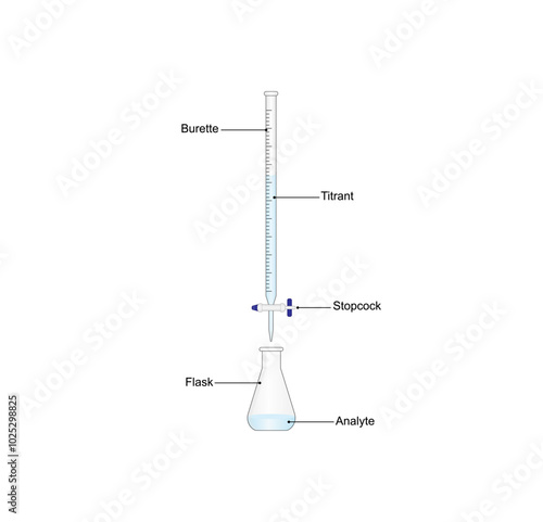 Titration procedure. Titrant in a burette and analyte in a conical flask, scientific experiment in the laboratory. Scientific vector illustration.	
