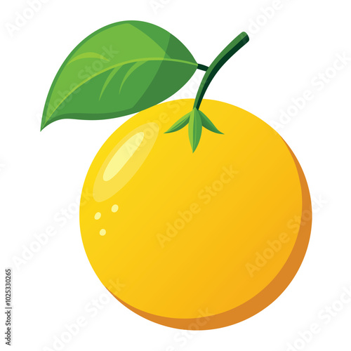 Simple yuzu vector illustration white background