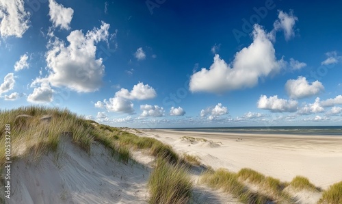 Panoramic view of a dune beach