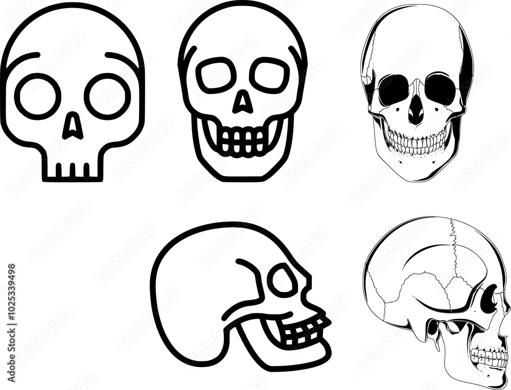 Skull Vector Set, Cranium Illustrations, Head Graphics, Noggin Designs, Halloween Art, Bone Artworks, Macabre Decorations, Digital Art Skull Vector Set, Cranium Illustrations, Head Graphics, Noggin Designs, Halloween Art, Bone Artworks, Macabre Decorations, Digital Art