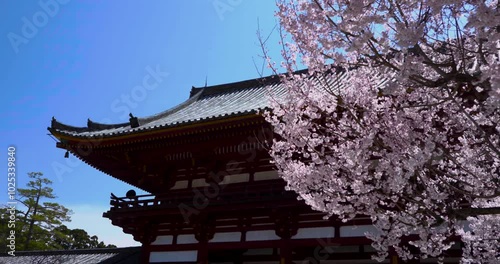  Nara Todaiji Buddhist Temple, Prayer Flags, Cherry Blossom Tree, Japan, Slow Motion