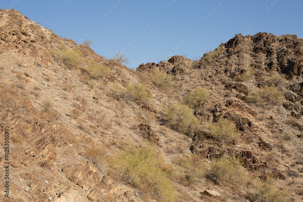 Landscape within the North Mountain Park, Phoenix Landscape within the North Mountain Park, Phoenix