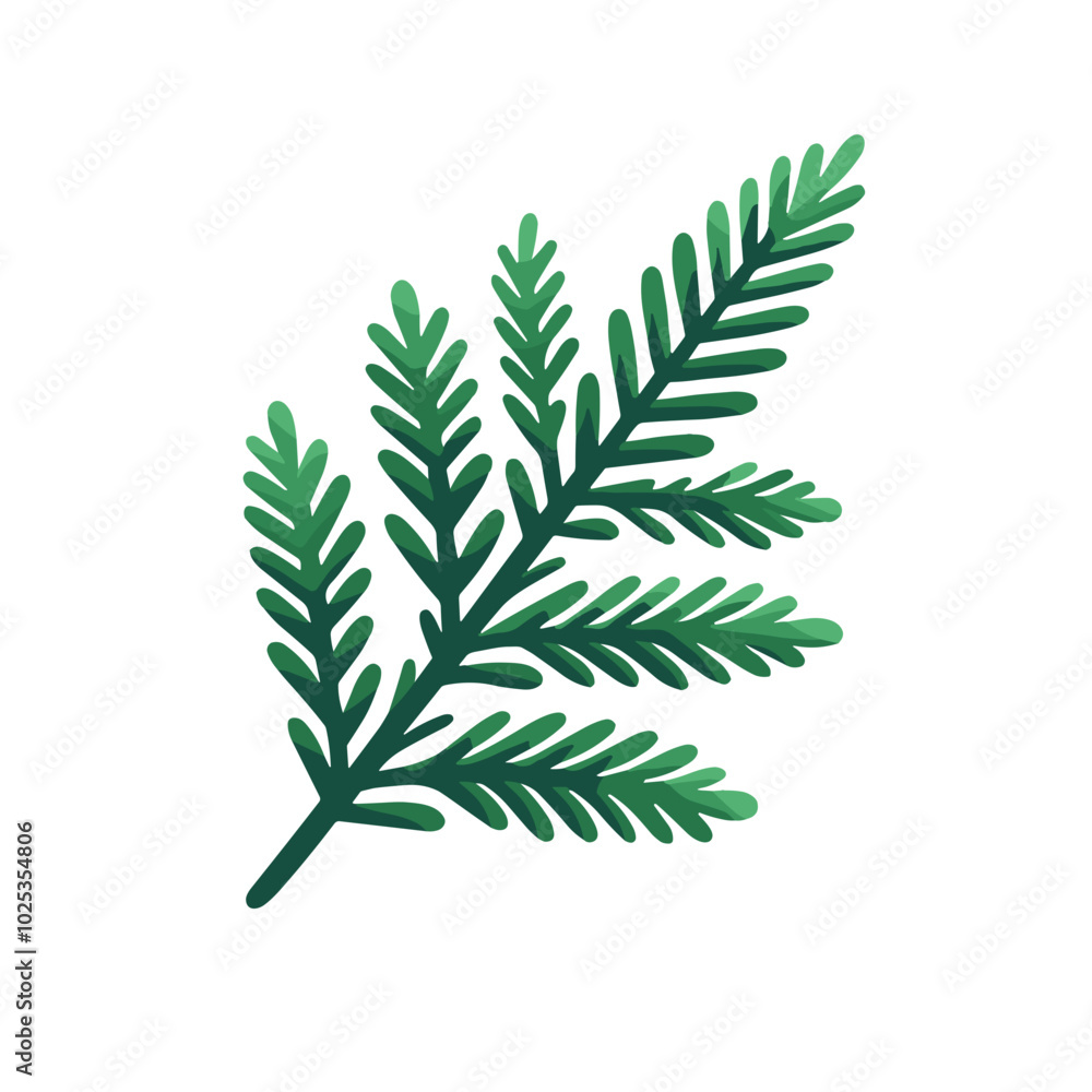 a green fir branch on a transparent background, a simple and festive clipart with Christmas foliage a green fir branch on a transparent background, a simple and festive clipart with Christmas foliage