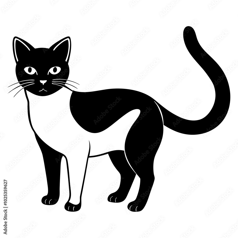 black and white cats black and white cats