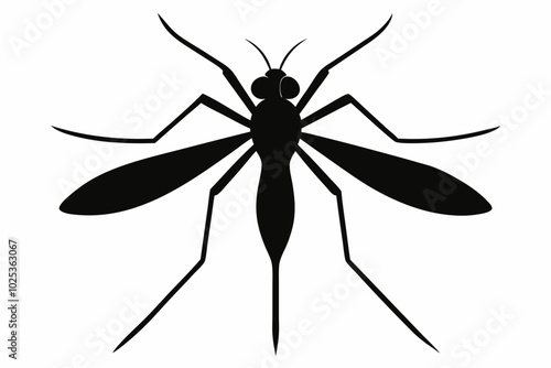 Mosquito silhouette, Bloodsucking icon black symbol vector, Close up mosquito silhouette

