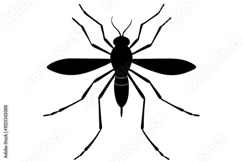 Mosquito silhouette, Bloodsucking icon black symbol vector, Close up mosquito silhouette

