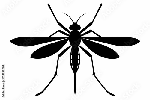 Mosquito silhouette, Bloodsucking icon black symbol vector, Close up mosquito silhouette


