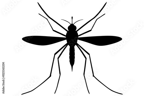 
Mosquito Icon, Bloodsucking Vector Silhouette, Close Up Mosquito Silhouette