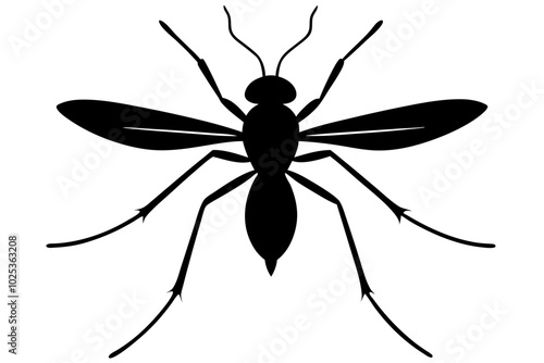 
Mosquito Icon, Bloodsucking Vector Silhouette, Close Up Mosquito Silhouette