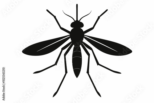 
Mosquito Icon, Bloodsucking Vector Silhouette, Close Up Mosquito Silhouette
