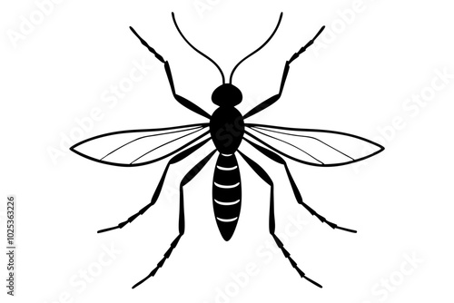 
Mosquito Icon, Bloodsucking Vector Silhouette, Close Up Mosquito Silhouette