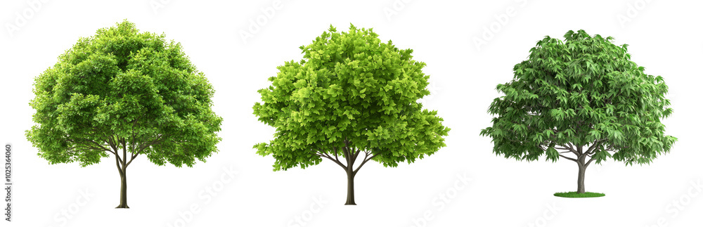 Obraz premium Vivid Green Trees with Varied Foliage Styles Isolated on Transparent Background