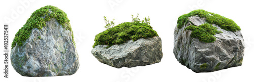 Lush Green Moss on Natural Stone Rocks Isolated on Transparent Background