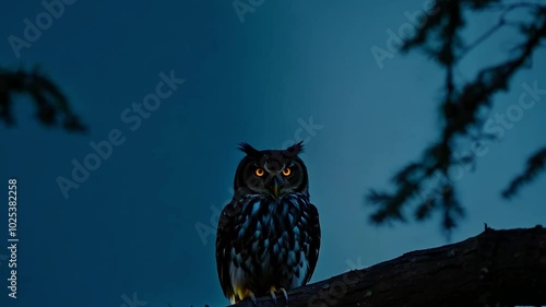 Majestic owl perched on branch turning head in dark forest at twilight