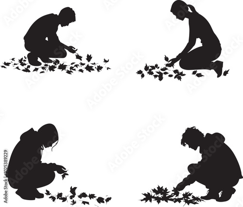 Silhouette of a person kneeling to examine fallen leaves, Autumn silhouette vector