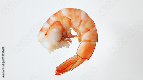 float a precooked peeled headless shrimp in background white, photograph product 